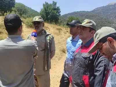 پایش مناطق جنگلی درگیر حریق در مریوان توسط رئیس سازمان منابع طبیعی 