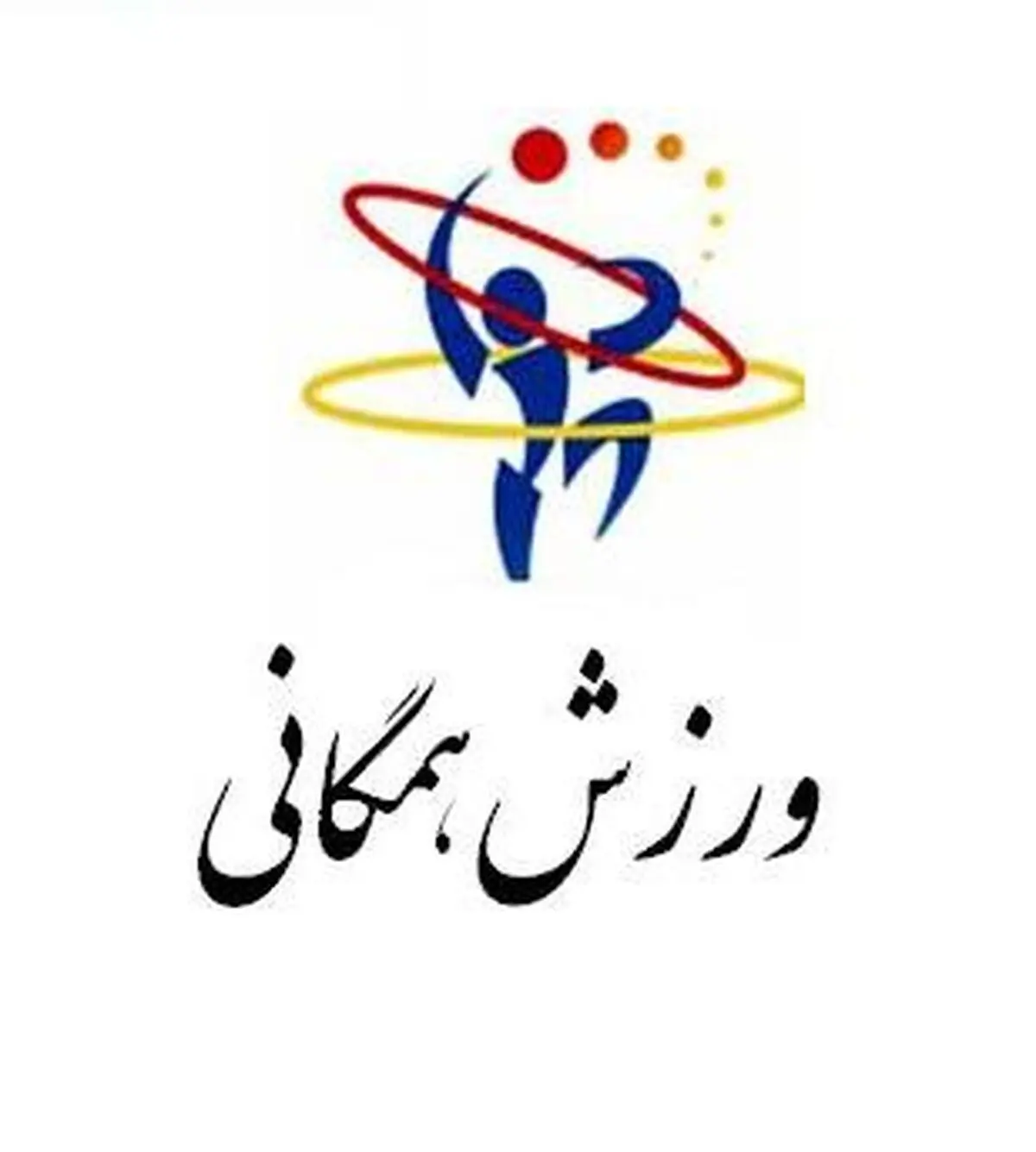 احمد گودرزی سرپرست انجمن مشاوره ورزشی شد