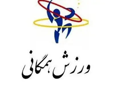 احمد گودرزی سرپرست انجمن مشاوره ورزشی شد