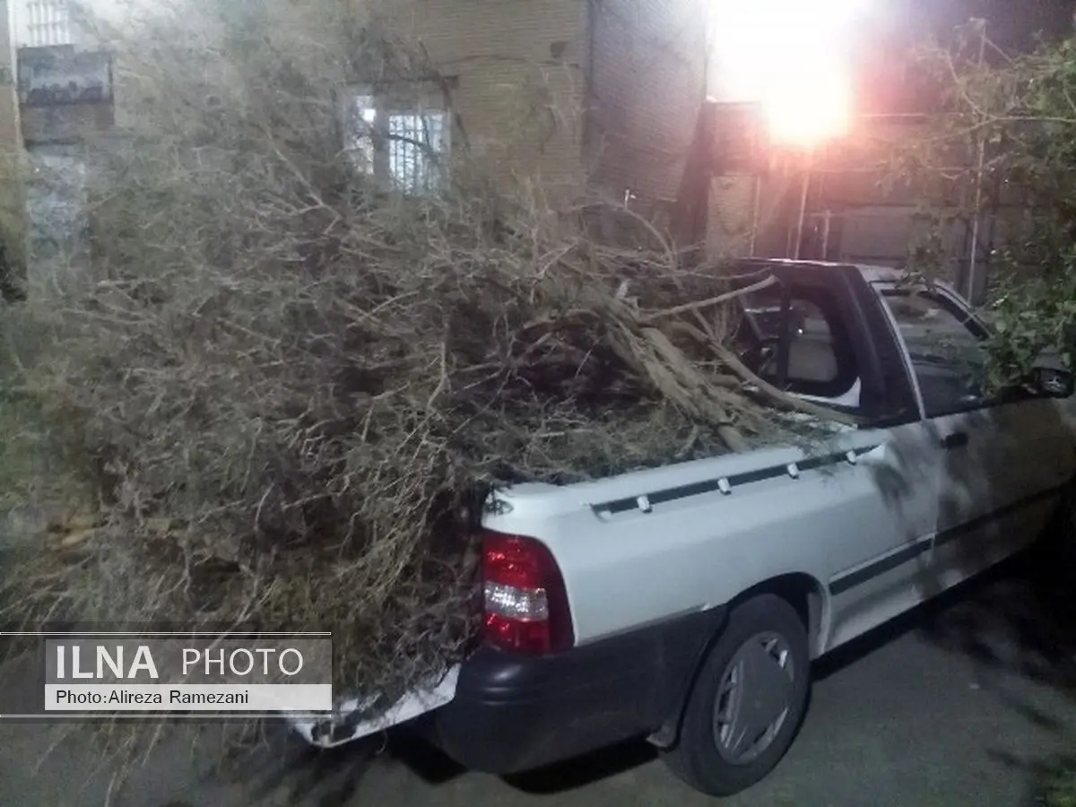 350 کیلوگرم چوب قاچاق در آران و بیدگل کشف شد 