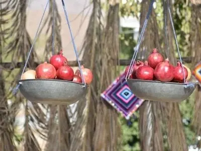 پنجمین جشنواره ترکیبی انار و خرما در خاوران برگزار می شود