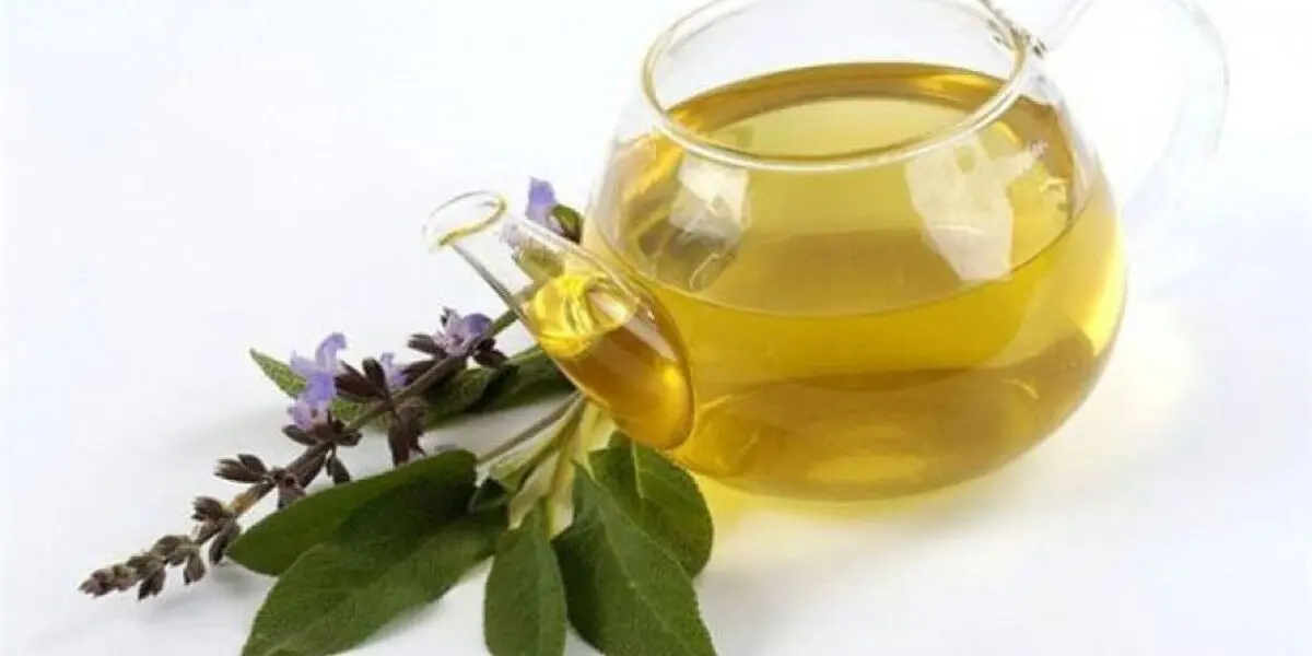 گیاه دارویی که خاصیت ضد ویروسی دارد