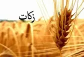 هزینه‌کرد ۸۱ درصد زکات برای امور نیازمندان