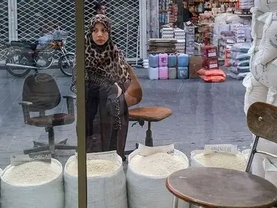 دلیل التهاب در بازار برنج ایرانی/ واردات برنج پاکستانی متوقف شد