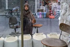 دلیل التهاب در بازار برنج ایرانی/ واردات برنج پاکستانی متوقف شد