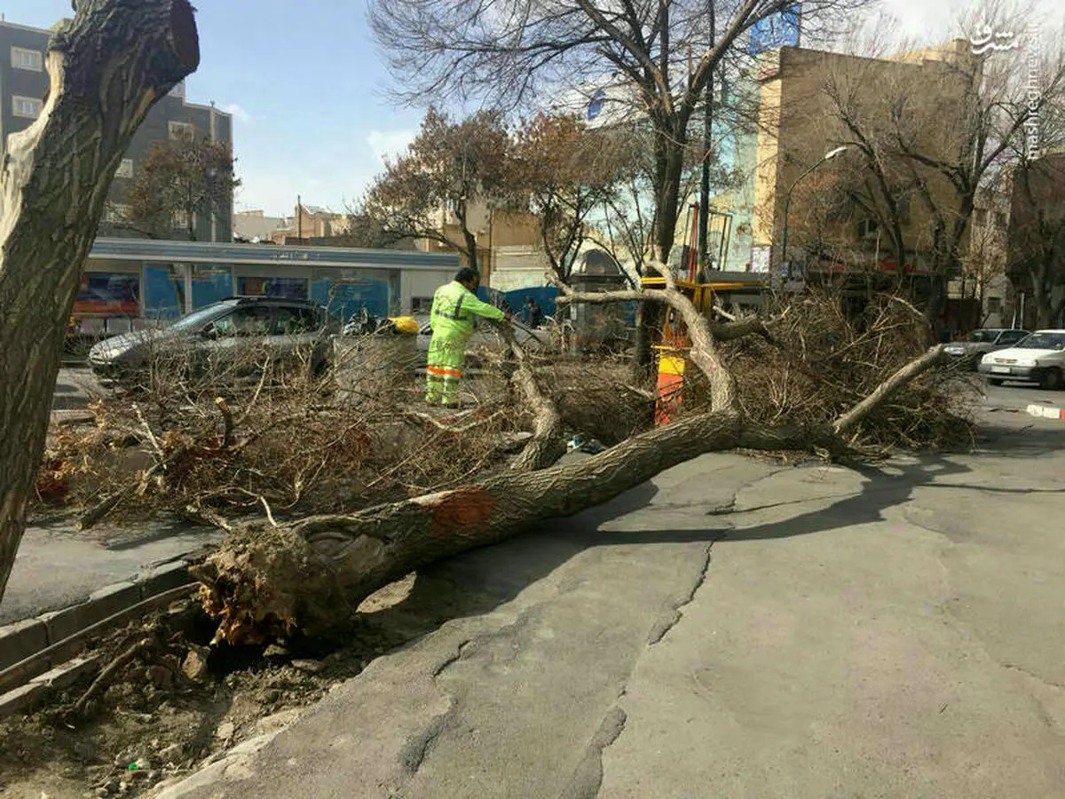 تشریح آخرین وضیعت خسارت های تندباد روز گذشته در آذربایجان شرقی