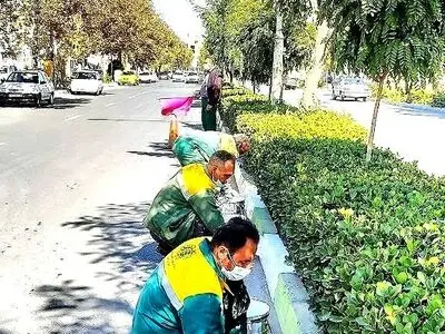 60 کیلومتر از جداول معابر شهر ارومیه رنگ آمیزی شده است