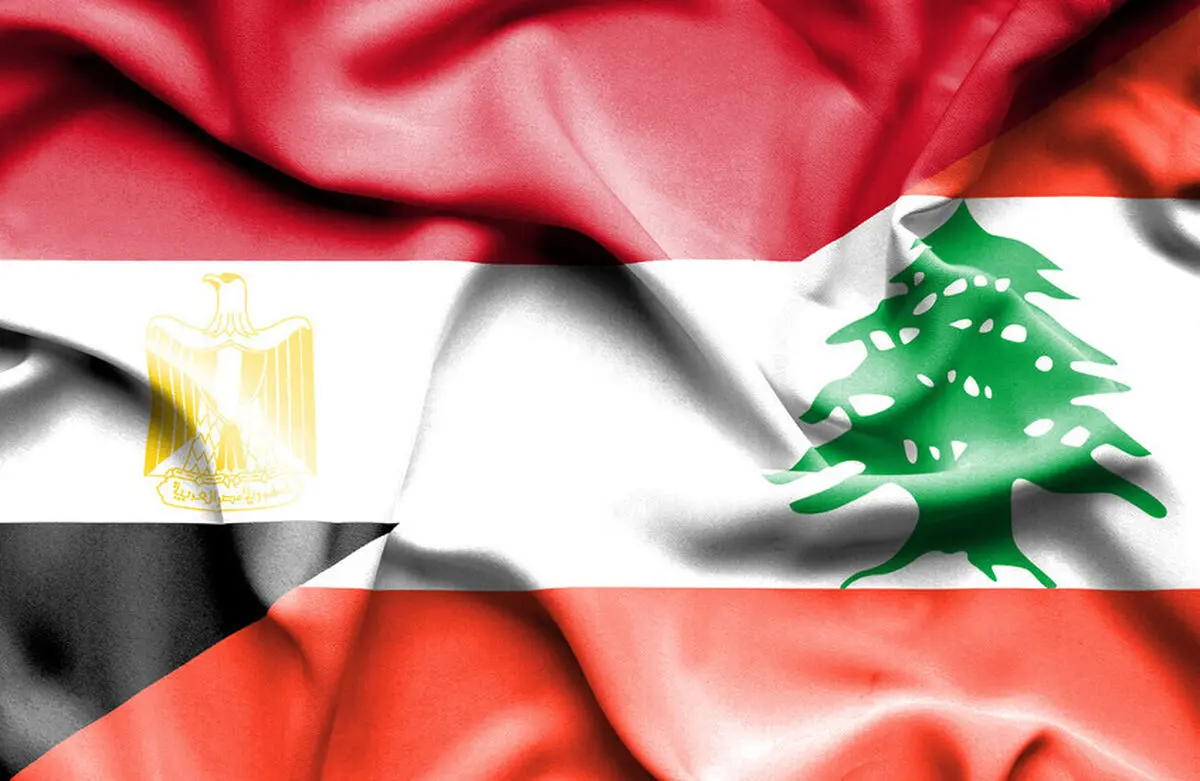گفت‌وگوی تلفنی عبدالعاطی با نخست وزیر لبنان
