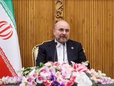 Joining BRICS financial system would help Iran mitigate sanctions: Speaker