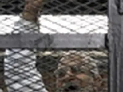 پرونده ۹۱۹ هوادار مرسی به دادگاه جنایی فرستاده شد