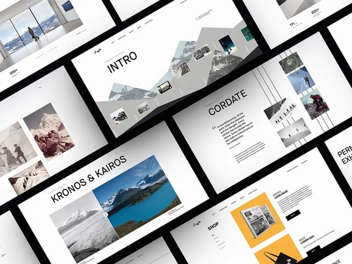 ارائه خدمات مدرن و خاص طراحی سایت در آژانس پیام آوا پردازش