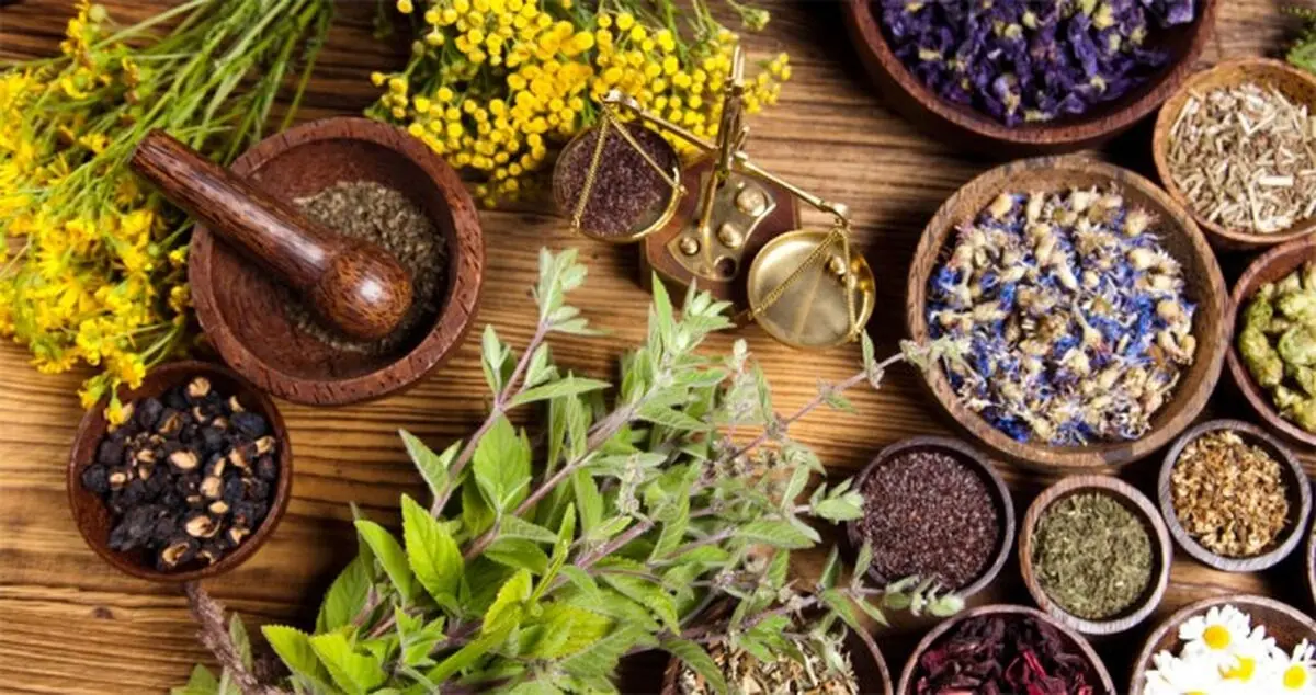 کشف داروهای غیر مجاز از یک عطاری در یزد