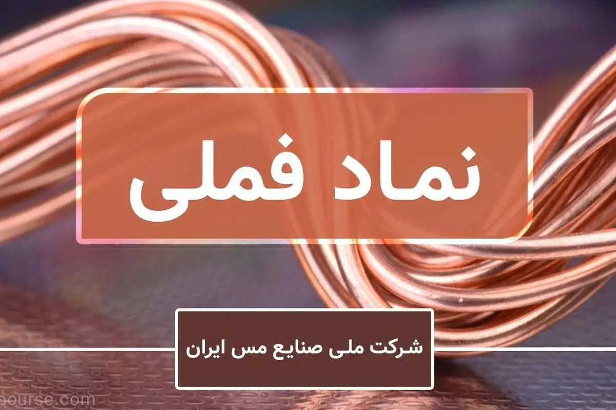 بازده ۱.۵ درصدی سهام فملی در هفته دوم آذر ۱۴۰۳