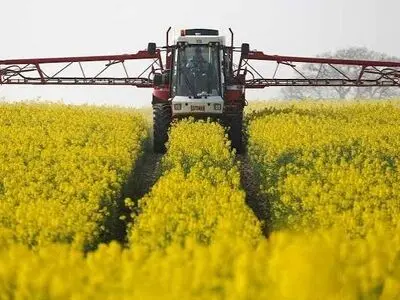 ثبت رکورد تولید 900 تن کلزا در سطح مزارع استان مرکزی