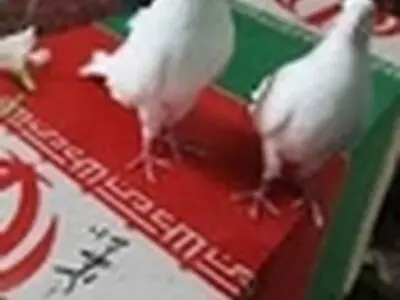یادمان شش شهید رانکوه پرده‌برداری شد