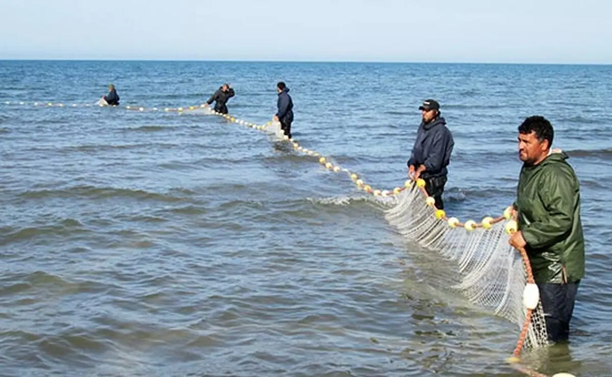 هیچکس جز ایرانی‌ها اجازه صید در آب‌های ایران ندارد / تولید 50 هزار تن تیلاپیا تا پایان برنامه ششم 