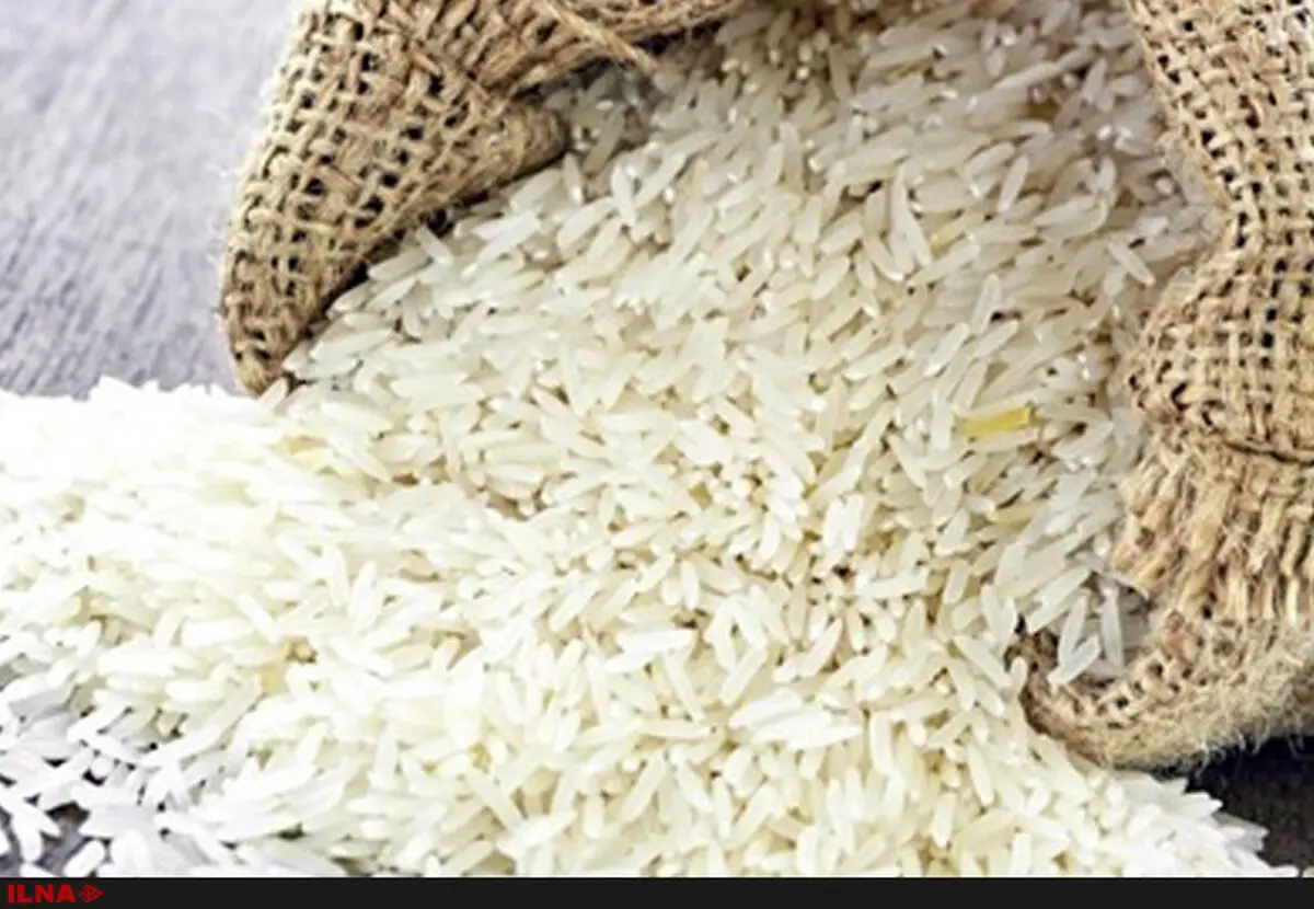 کاهش تعرفه واردات برنج به تغییر کاربری دامن می‌زند/ کشاورزی نابود می‌شود