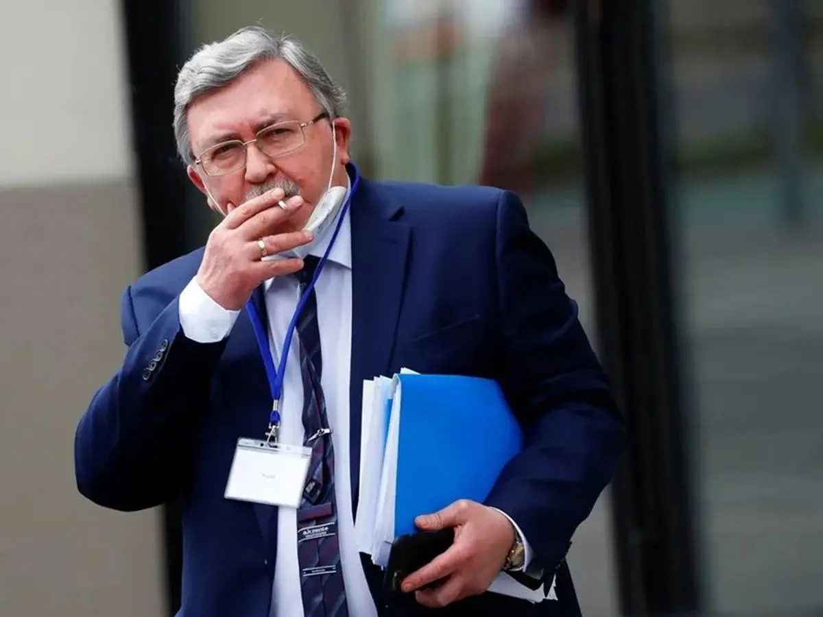 Snapback mechanism against Iran null, void: Ulyanov