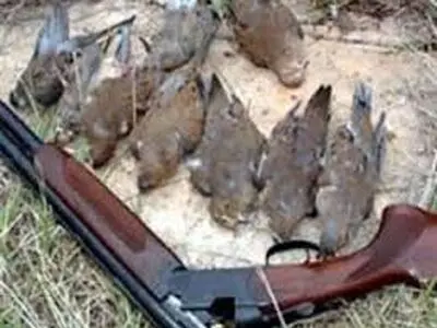 دستگیری شکارچیان متخلف در سلماس 