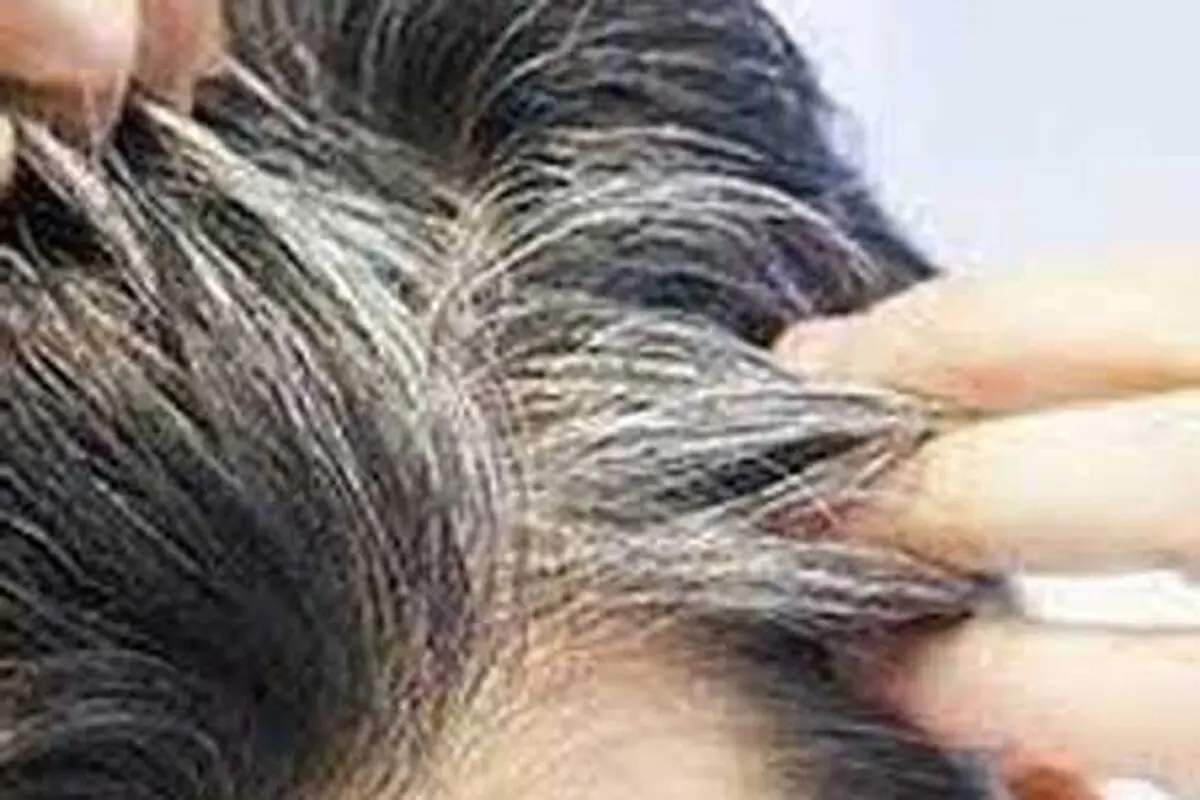 راهکاری موثر برای جلوگیری از سفیدشدن موها