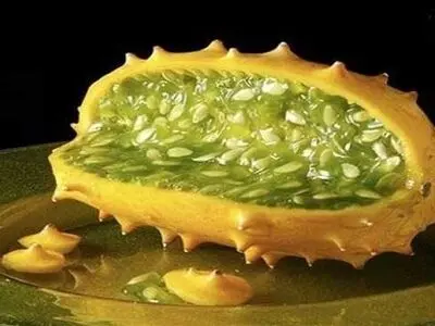 خیار مدل آفریقایی/عکس‌ها