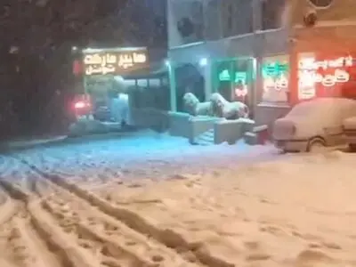 برف شدید آشکده کندوان جاده چالوس + فیلم