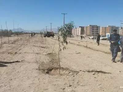 کمربند سبز زاهدان اجرا می‌شود