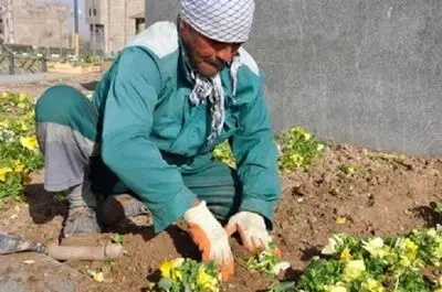 یک طرح نصفه‌نیمه را به جای «ساماندهی» قالب کردند/ از پرداخت مستقیم در شهرداری بناب خبری نیست