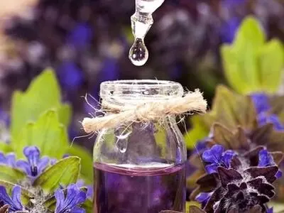 چرا عطر فرانسه مشهور است 
