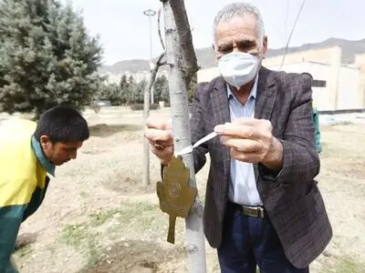 غرس ۱۰۰ اصله نهال در دریاچه شهدای خلیج فارس با حضور خانواده شهدا
