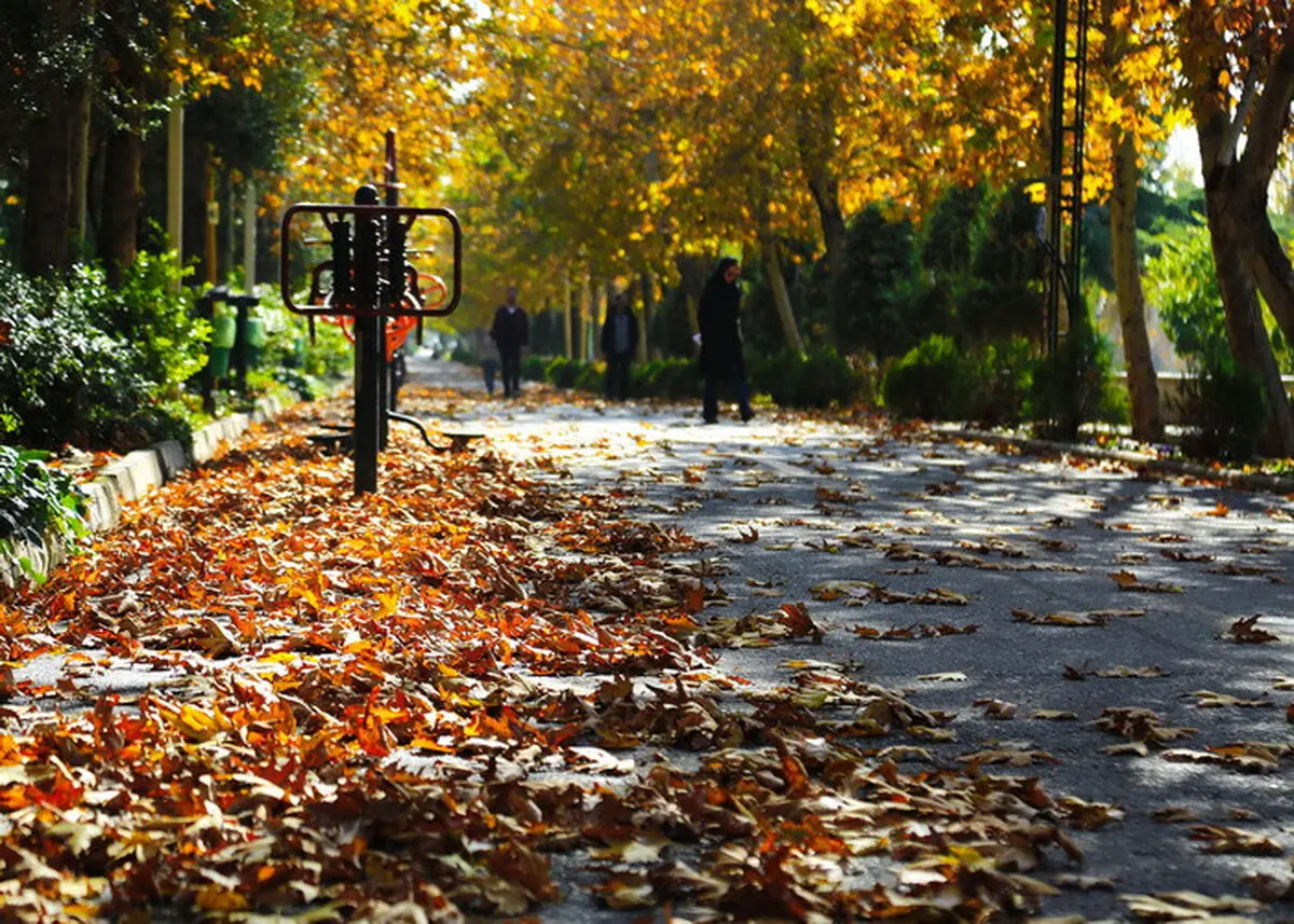 سمفونی پائیز در محله‌های مرکزی شهر تهران نواخته می‌شود