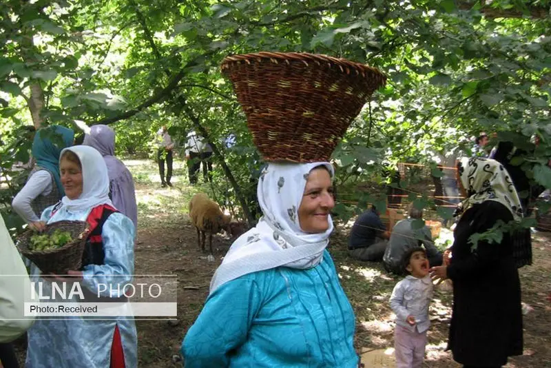 گالری