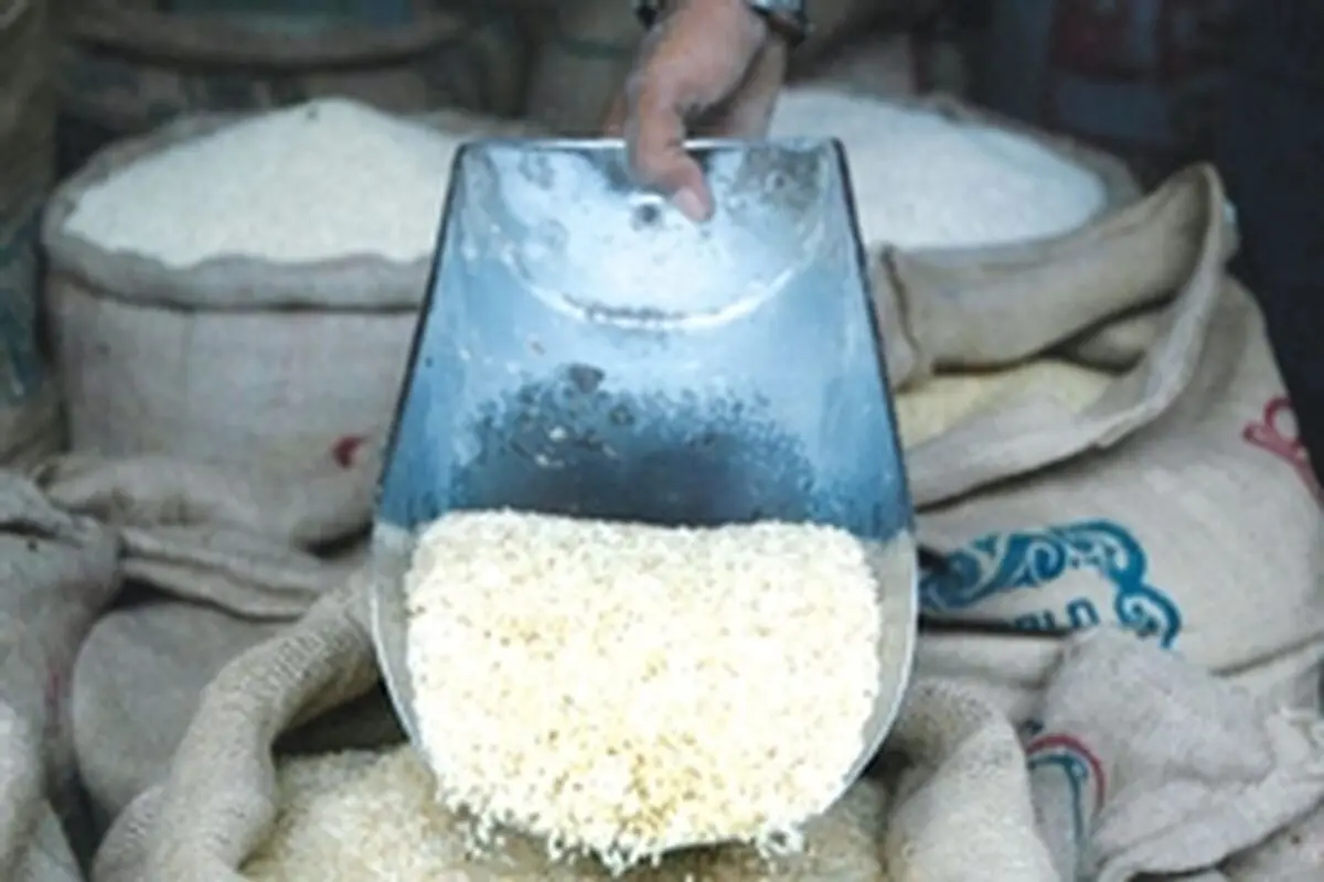 حرکت لاکپشتی واردات برنج