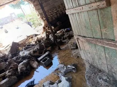 تلف شدن 200 رأس دام عشایر شهرستان پارس‌آباد مغان در پی طوفان و سیلاب