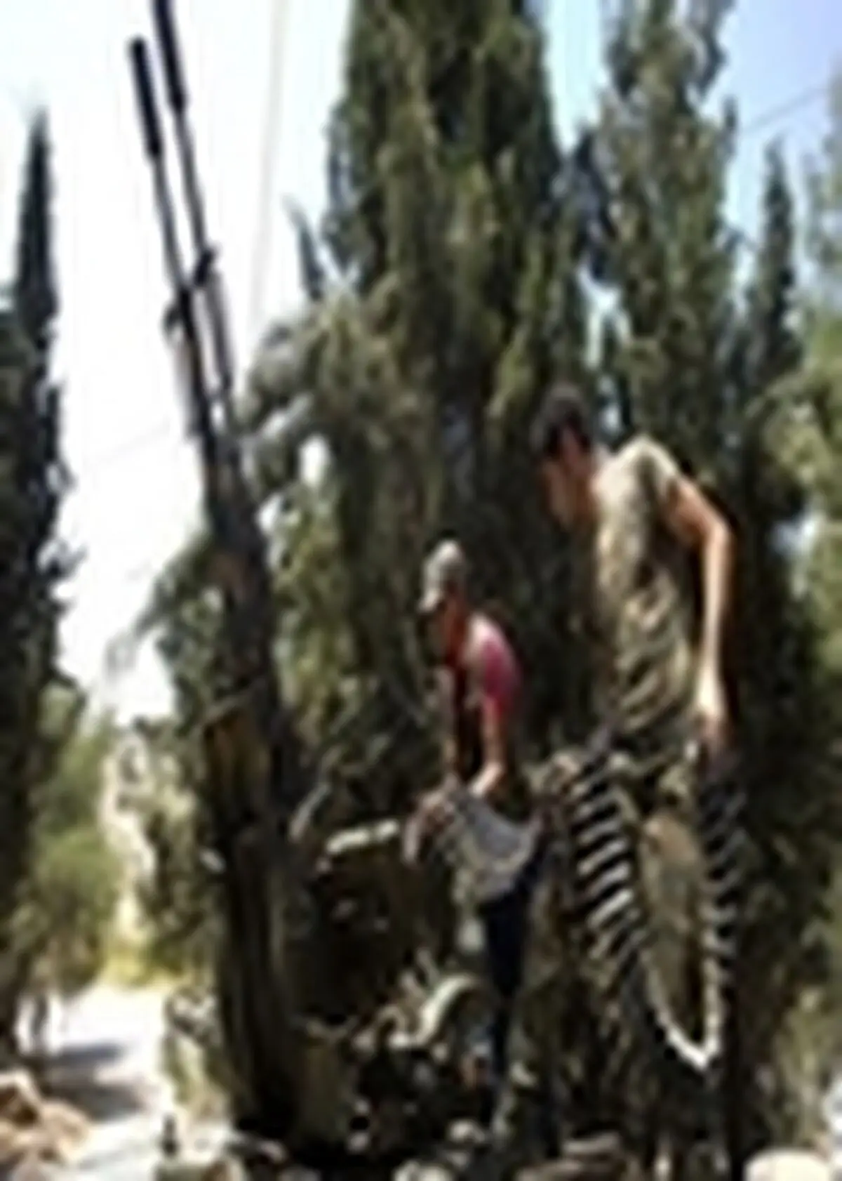 ترکیه رسانه‌ها و شبکه‌های اجتماعی را تهدید به بستن کرد