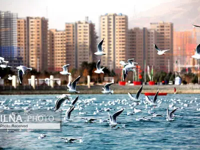 تبیین راهکار‌های سرمایه‌گذاری و درآمدزایی در دریاچه شهدای خلیج فارس