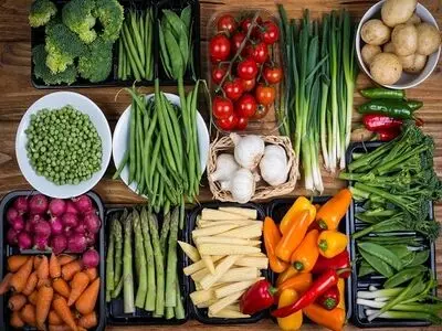همایش بین‌المللی غذای طیب آغاز به کار کرد
