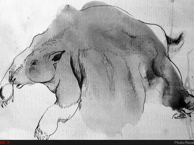 از لحاظ حضور منتقدان باتجربه در عرصه هنرهای تجسمی فقیر هستیم