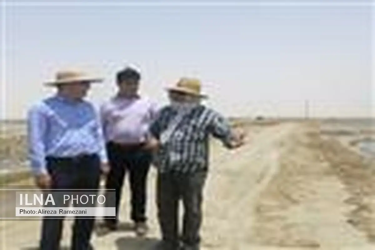 امسال هیچ بیماری در میگوهای پرورشی هرمزگان مشاهده نشده است