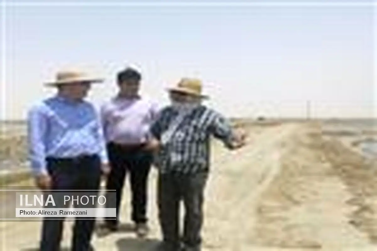 امسال هیچ بیماری در میگوهای پرورشی هرمزگان مشاهده نشده است