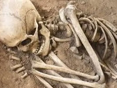 6 اسکلت در آبراهه تخت‌جمشید کشف شد