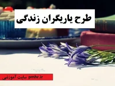 بهترین طرح ها و نمونه تجارب آموزش و پرورش در سایت آموزشی pmhr.ir