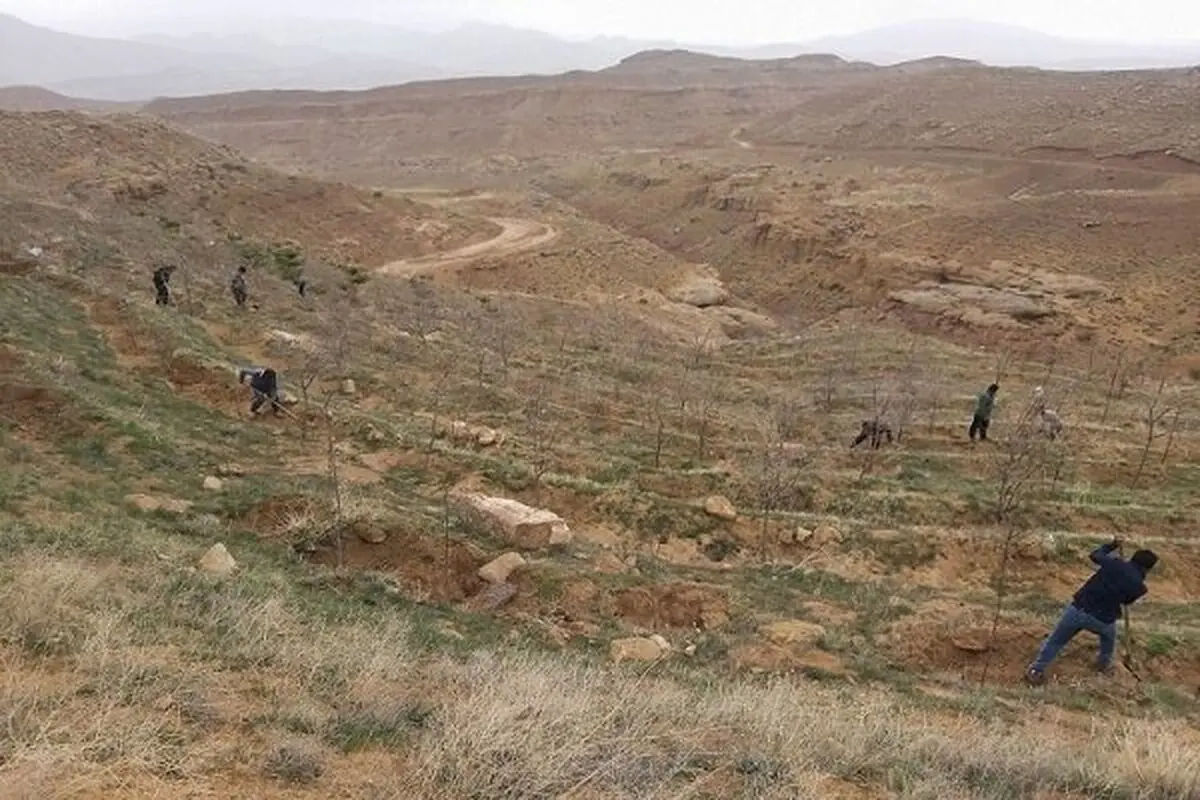 افزایش ۱۰۰ هکتاری فضای سبز تفرجگاه جنگلی آرپادره‌سی