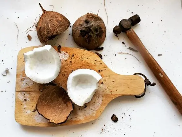 چطور نارگیل را بشکنیم