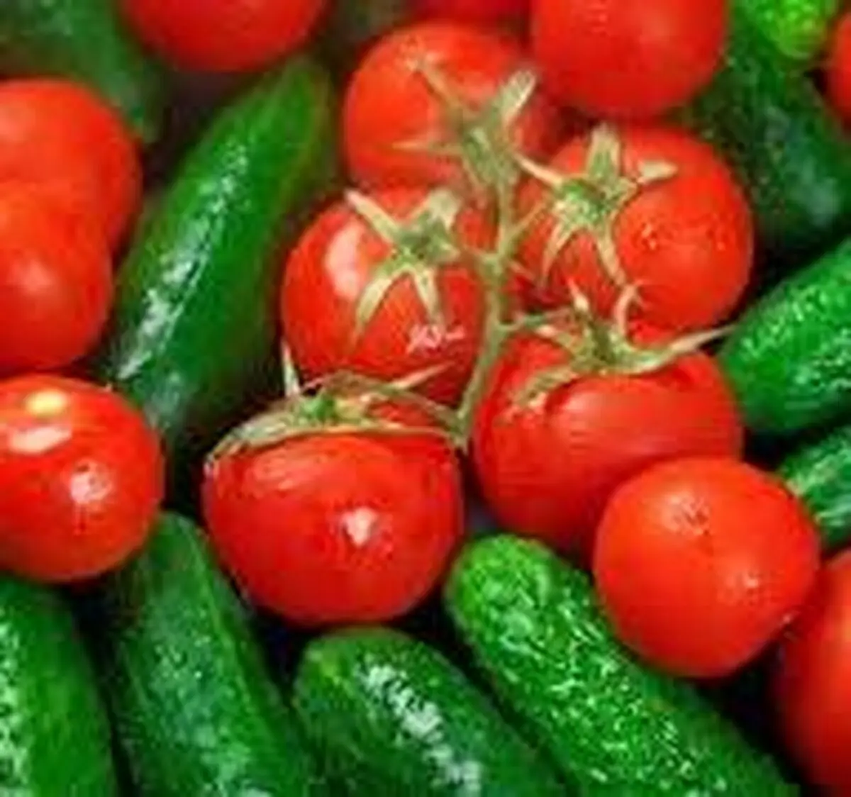 با این روش خیار و گوجه را طولانی مدت نگهدارید/فیلم