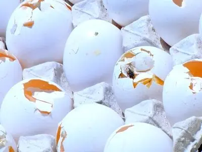 asdasd