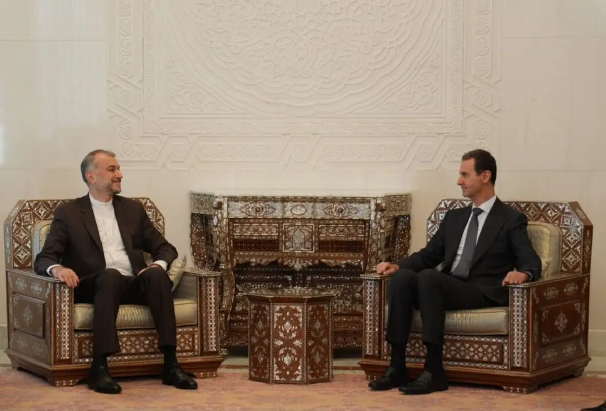 Iran to stand by Syria until final victory over terrorism: FM

