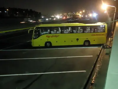 گم‌شدن زندگی پشت شمشادها