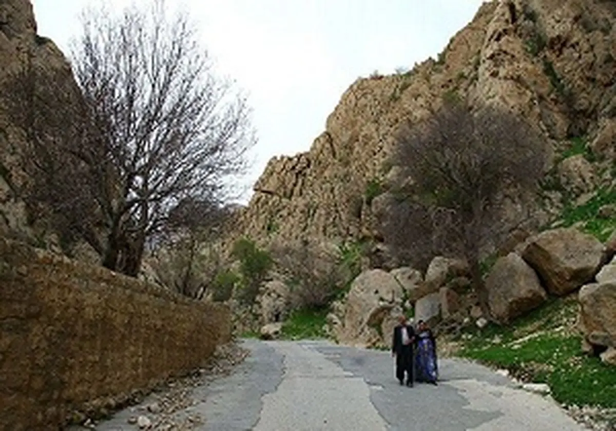 ثبت ملی درختان کهن‌سال بقعه بابایادگار
