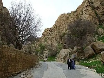 ثبت ملی درختان کهن‌سال بقعه بابایادگار